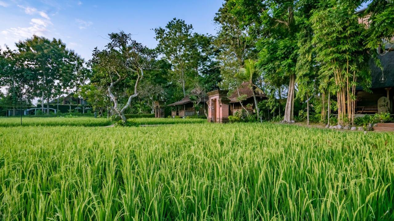 Kajane Yangloni At Ubud  Ngoại thất bức ảnh