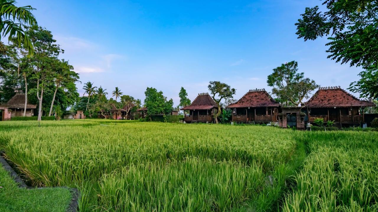 Kajane Yangloni At Ubud  Ngoại thất bức ảnh