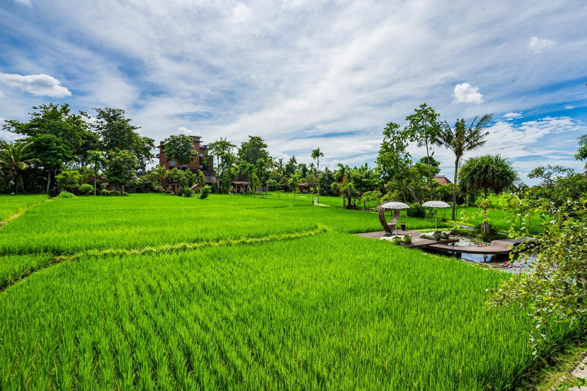 Kajane Yangloni At Ubud Bali Hotel Ngoại thất bức ảnh